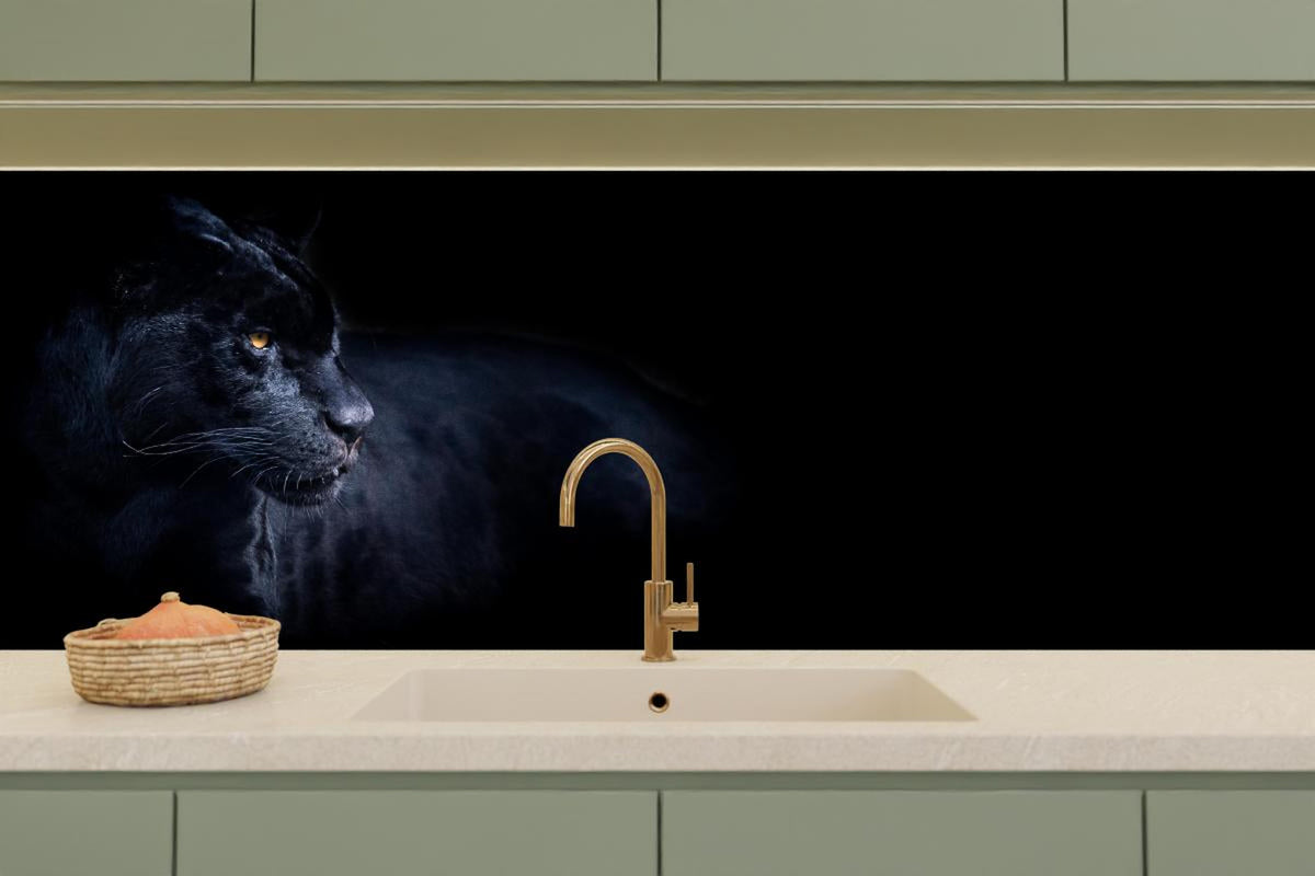Küchenrückwand - Schwarzen Panther mit schwarzem Hintergrund