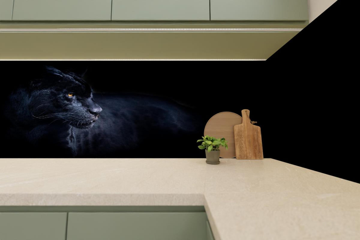 Küchenrückwand - Schwarzen Panther mit schwarzem Hintergrund