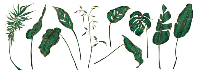 Küchenrückwand - Set von tropischen Pflanzen Illustrationen