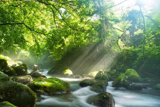 Küchenrückwand - Shangrenzawa