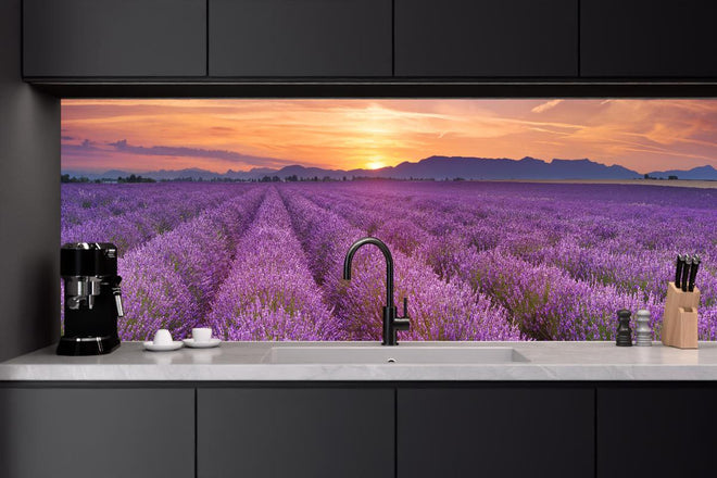 Küchenrückwand - Sonnenaufgang über Lavendelfelder - Provence