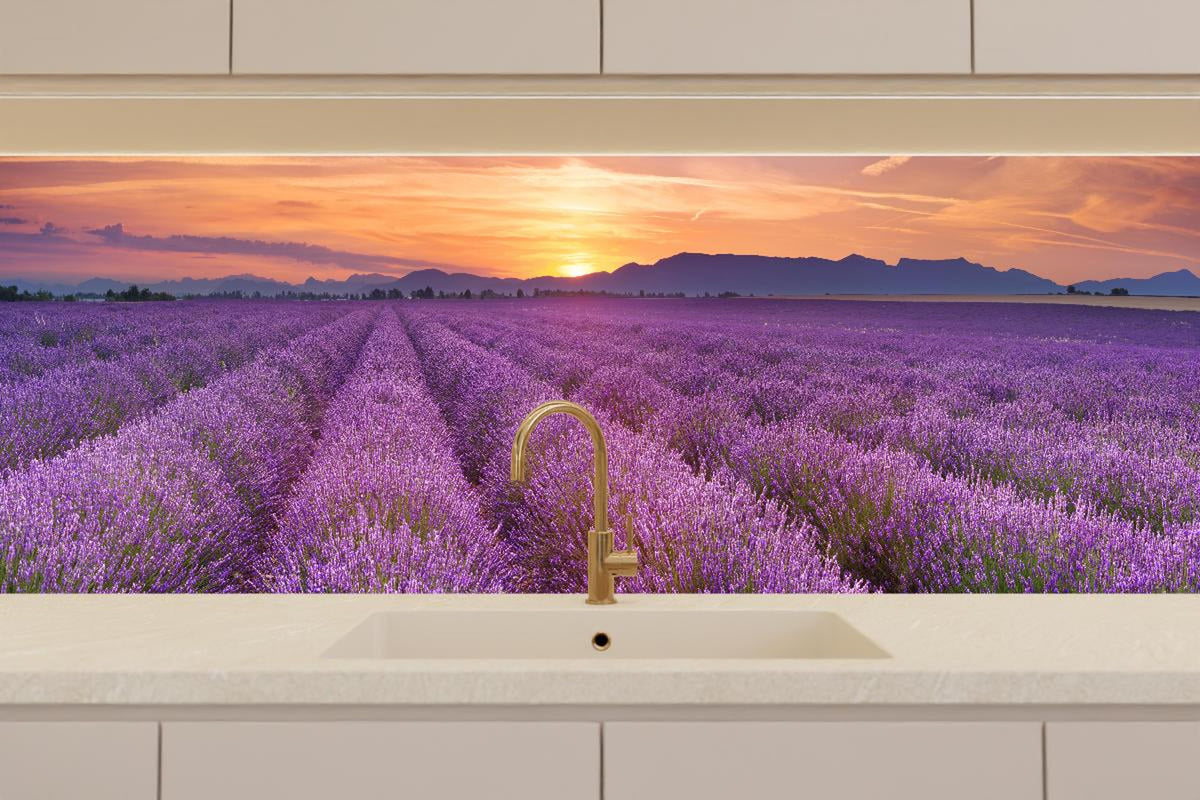 Küchenrückwand - Sonnenaufgang über Lavendelfelder - Provence
