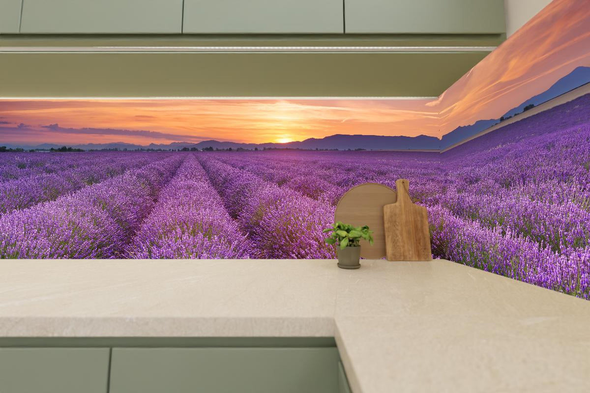 Küchenrückwand - Sonnenaufgang über Lavendelfelder - Provence