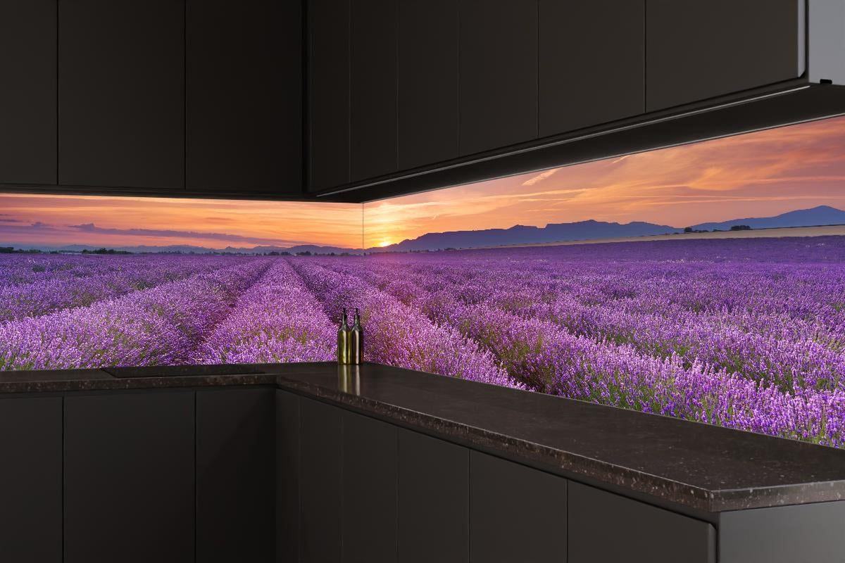 Küchenrückwand - Sonnenaufgang über Lavendelfelder - Provence