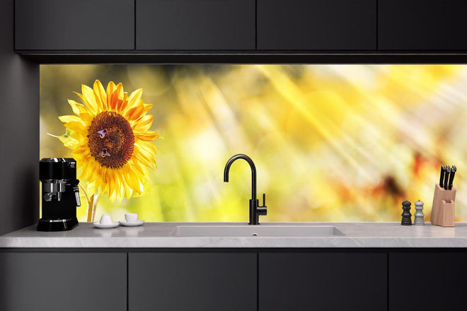 Küchenrückwand - Sonnenblume