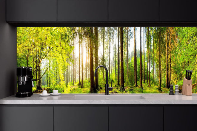 Küchenrückwand - Sonnenlicht durchfluteter Wald Leinwandbild