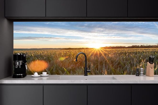 Küchenrückwand - Sonnenuntergang über einem Kornfeld