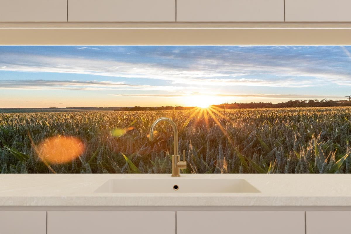 Küchenrückwand - Sonnenuntergang über einem Kornfeld