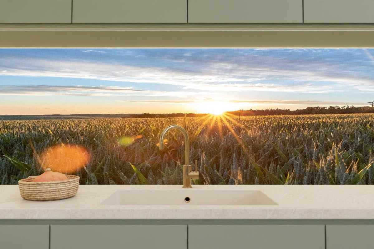 Küchenrückwand - Sonnenuntergang über einem Kornfeld