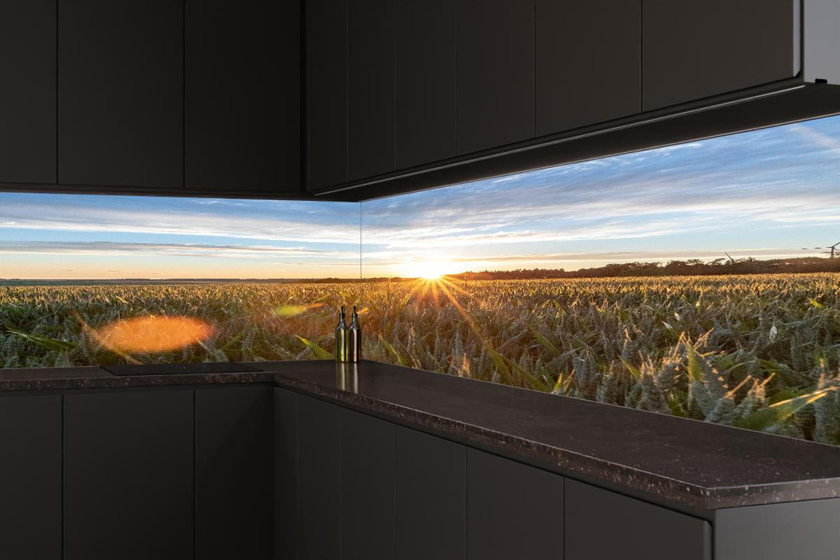 Küchenrückwand - Sonnenuntergang über einem Kornfeld