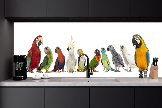Küchenrückwand - Tropische Papageien - Exotisch