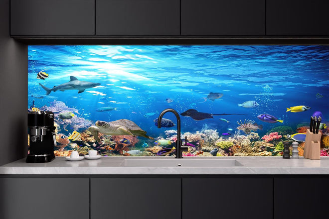 Küchenrückwand - Vielfältige Unterwasserwelt
