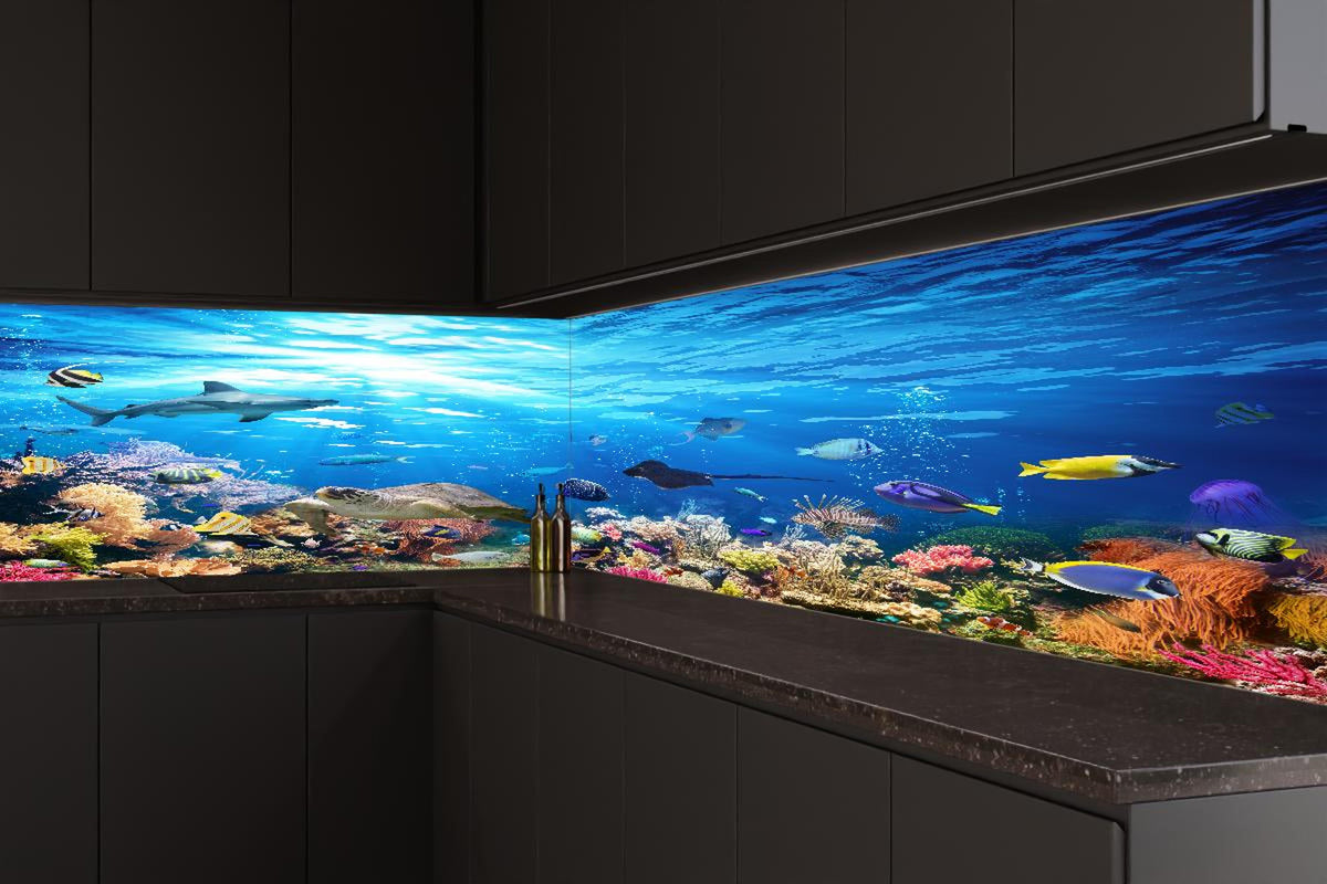 Küchenrückwand - Vielfältige Unterwasserwelt
