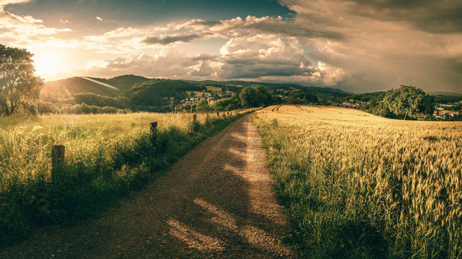Küchenrückwand - Wanderpfad