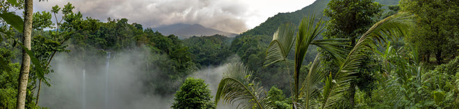 Küchenrückwand - Wasserfälle im Regenwald 2