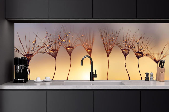 Küchenrückwand - Wassertropfen auf Löwenzahnsamen