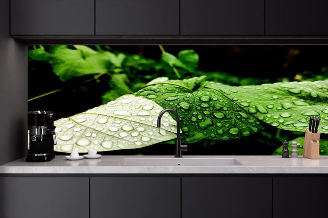 Küchenrückwand - Wassertropfen auf einem Blatt