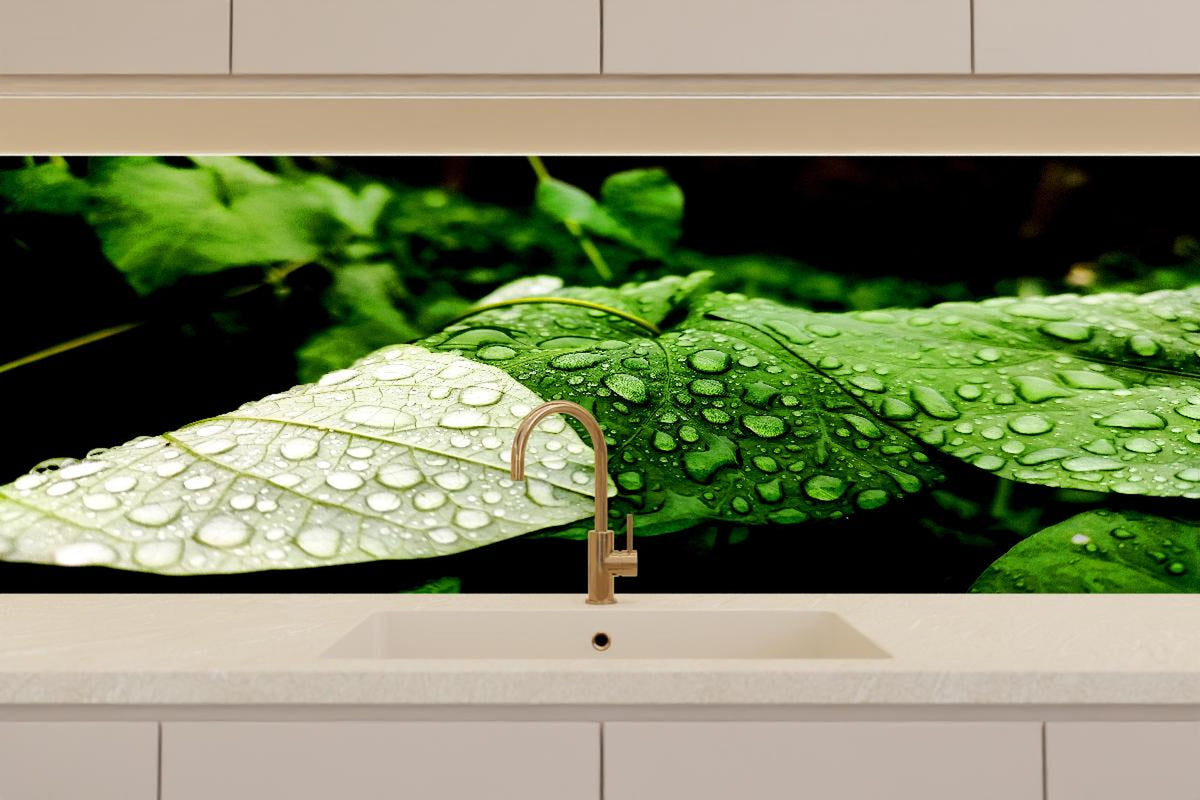 Küchenrückwand - Wassertropfen auf einem Blatt