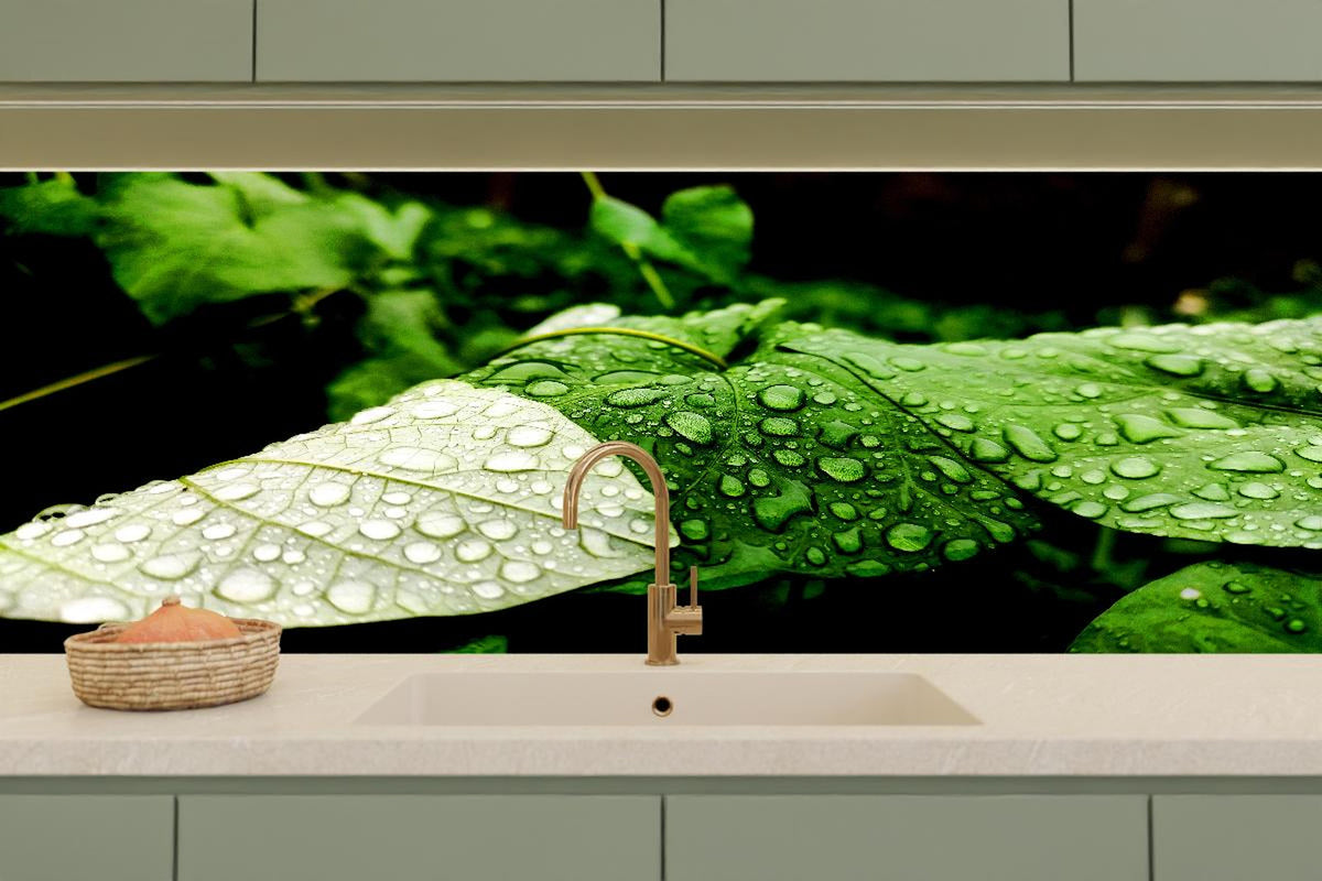 Küchenrückwand - Wassertropfen auf einem Blatt