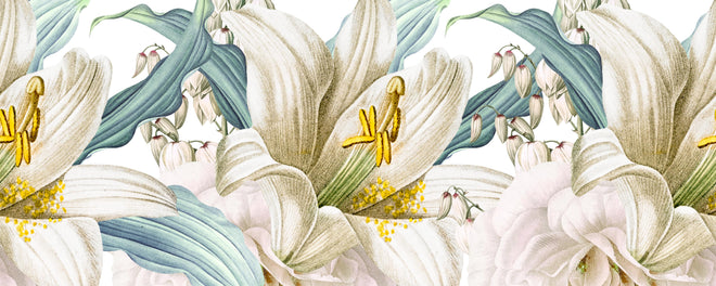 Küchenrückwand - Weißen und cremefarbenen Rosen