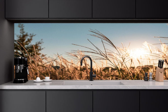 Küchenrückwand - Weizenfeld in der Sonne