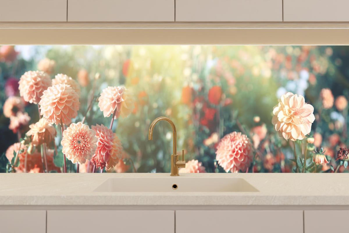 Küchenrückwand - Wunderschöne Blumen im Sommer