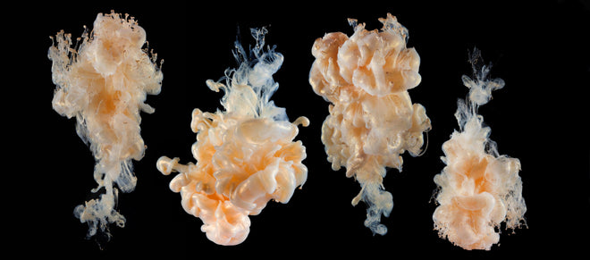 Spritzschutz - Abstraktes Tinten-Wolken Design