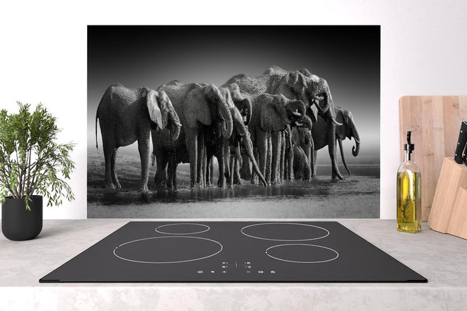 Spritzschutz - Afrikanische Elefantenherde (Schwarz-Weiß)