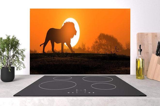 Spritzschutz - Afrikanische Landschaft bei Sonnenuntergang