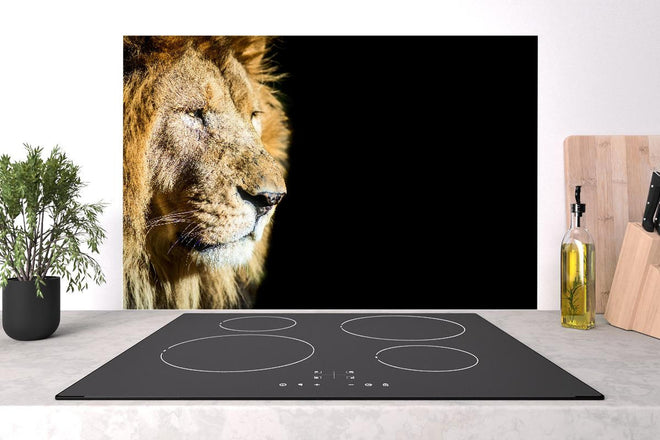 Spritzschutz - Alter Löwe auf schwarzem Hintergrund