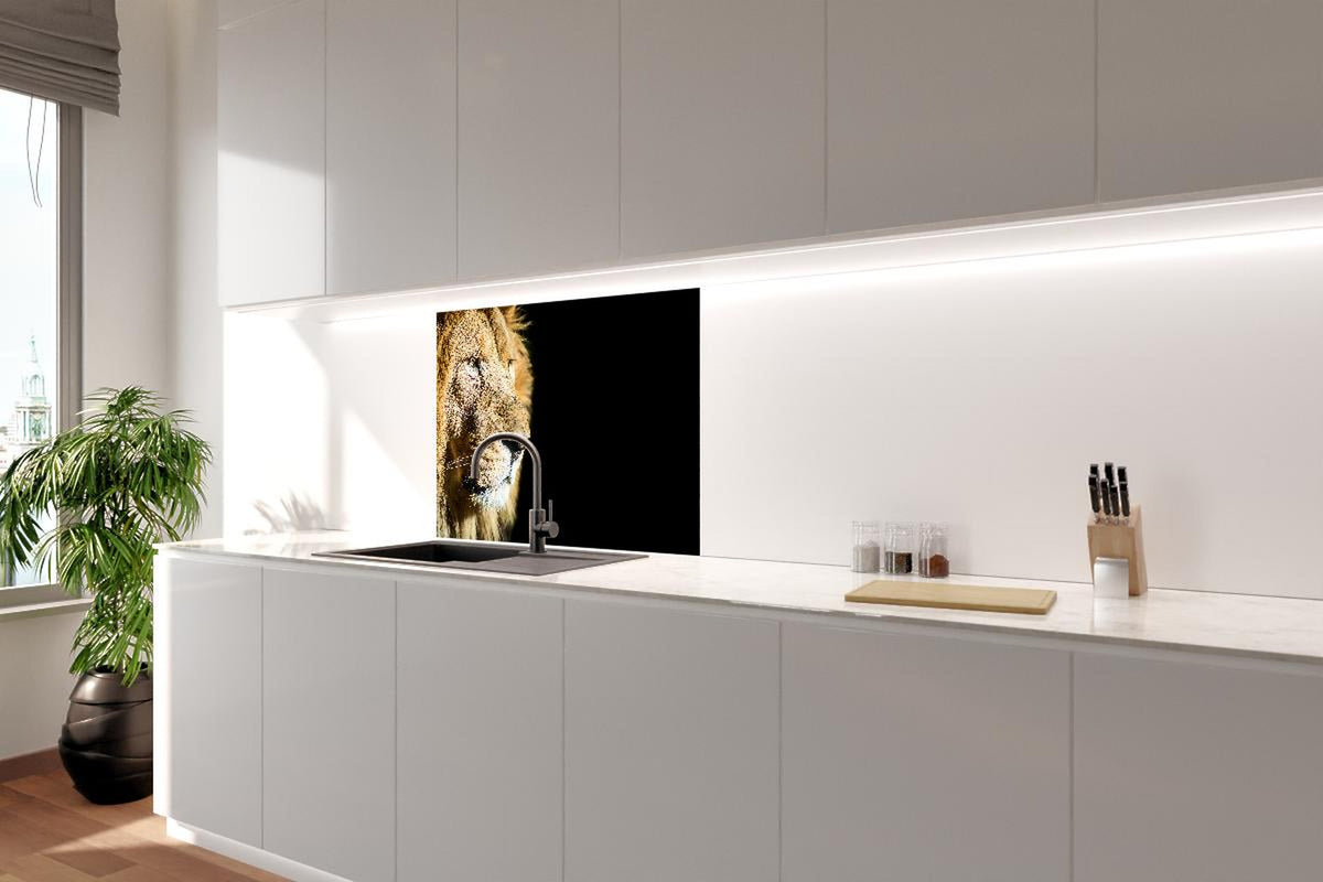 Spritzschutz - Alter Löwe auf schwarzem Hintergrund