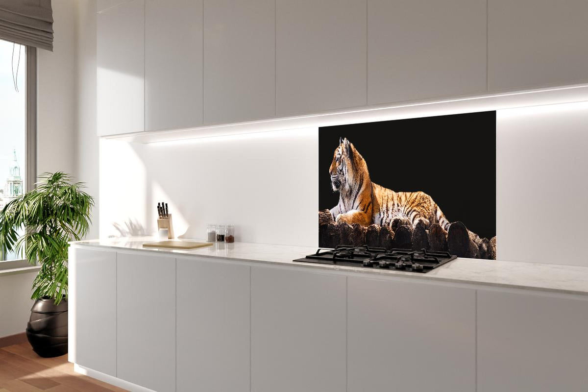 Spritzschutz - Amurtiger liegend auf Holzdeck mit Schwarzem Hintergrund