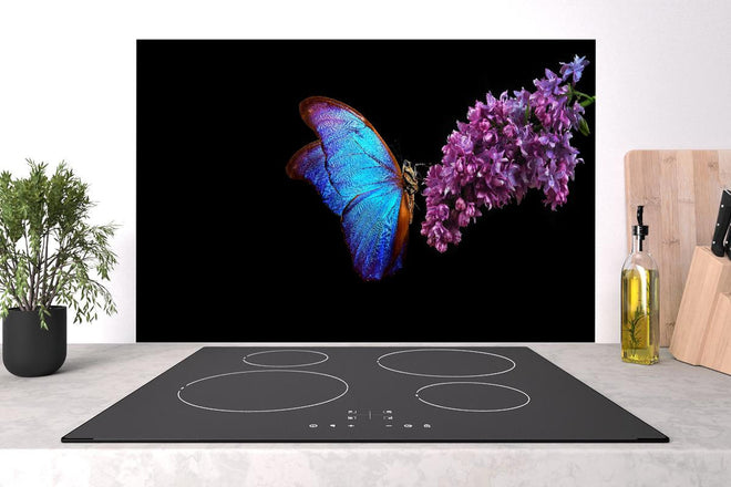 Spritzschutz - Bläulicher Schmetterling auf Blume