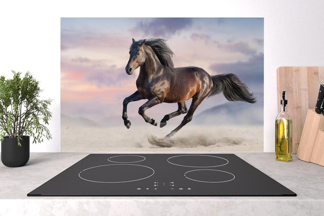 Spritzschutz - Braunes Pferd galoppiert in Wüste