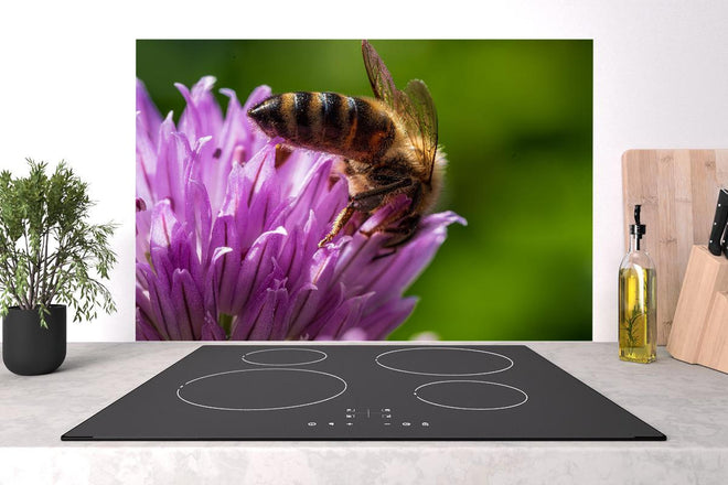 Spritzschutz - Detailreiche Makroaufnahme Biene Lila Blüte