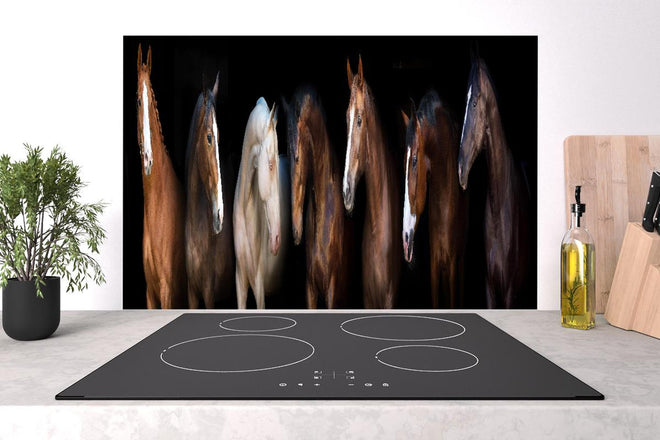 Spritzschutz - Edle Pferdegruppe vor schwarzem Hintergrund