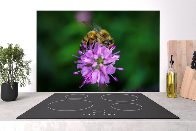 Spritzschutz - Faszinierende Biene auf lebendiger lila Blüte