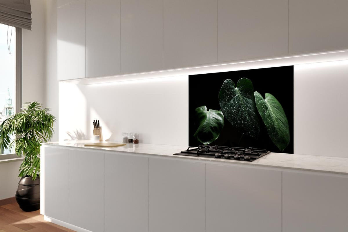 Spritzschutz - Feuchtes Blatt auf schwarzem Hintergrund