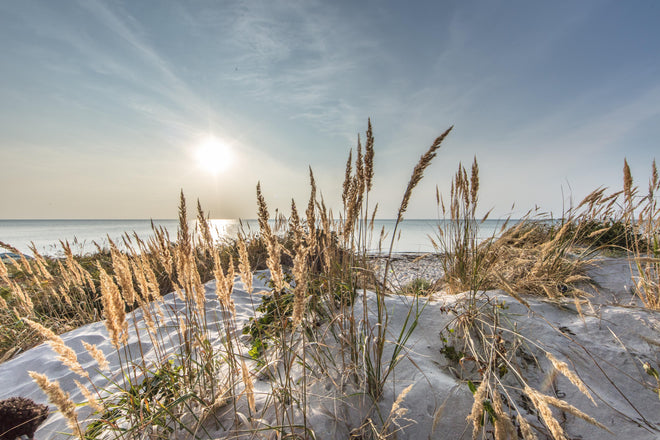 Spritzschutz - Friedlicher Ausblick an der Ostseeküste