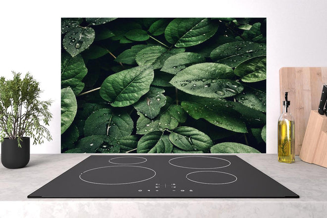 Spritzschutz - Frische Tropfen auf dunklen Blättern