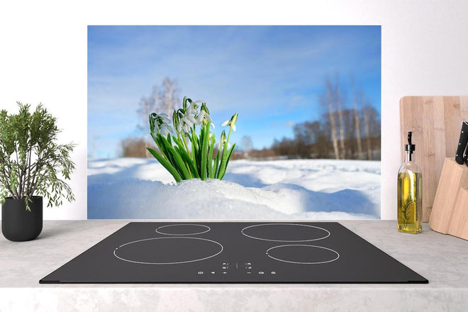 Spritzschutz - Frühlingsblumen durchbrechen Schneedecke