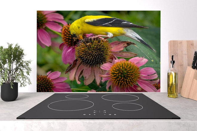 Spritzschutz - Gelber Vogel Genießt Nektar Pinker Blüten