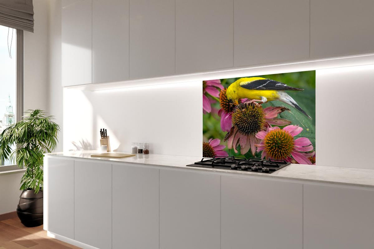 Spritzschutz - Gelber Vogel Genießt Nektar Pinker Blüten
