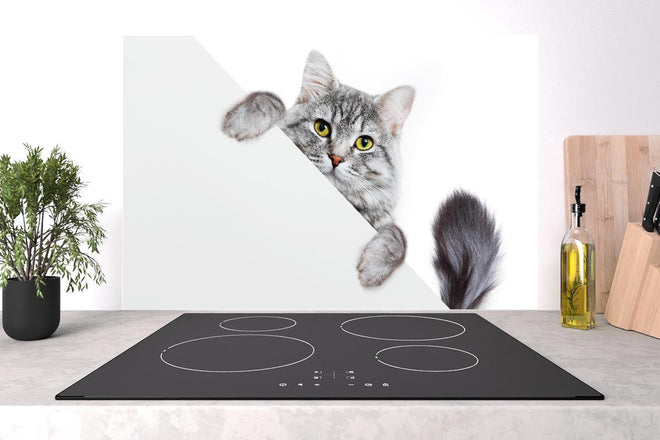 Spritzschutz - Getigertes Kätzchen