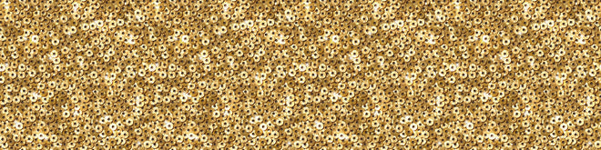 Spritzschutz - Glänzendes Gold-Pailletten-Stoffdesign