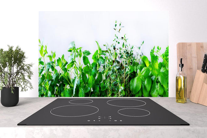 Spritzschutz - Grüne frische Kräuter