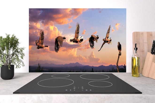 Spritzschutz - Harris Hawk Flug gegen blauen Himmel