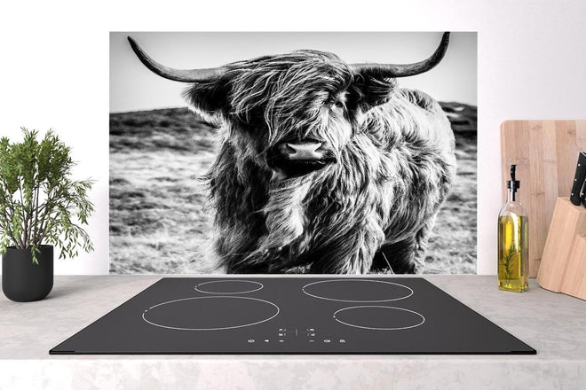 Spritzschutz - Hochlandkuh in Schwarz-weiß