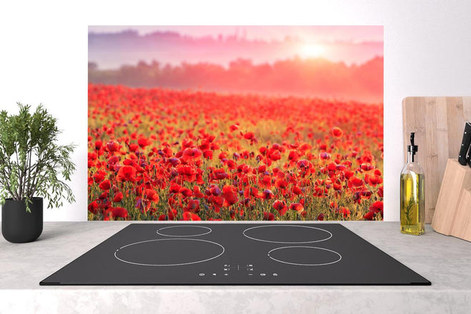 Spritzschutz - Idyllisches Mohnfeld bei Sonnenuntergang