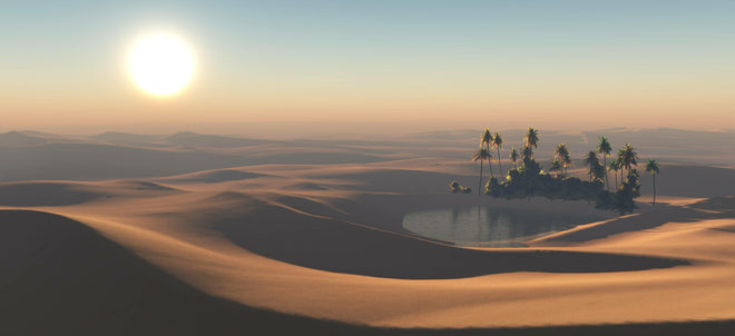 Spritzschutz - Kleine Oase in der heißen Wüste